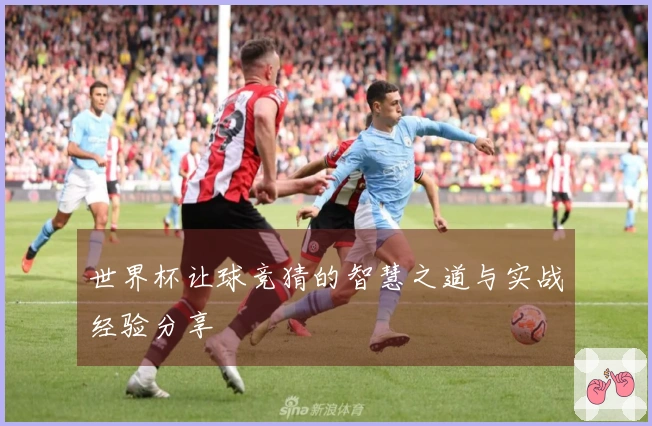 世界杯让球竞猜的智慧之道与实战经验分享