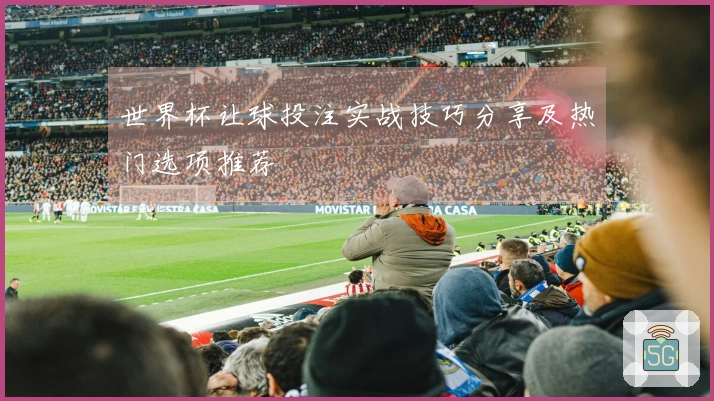 世界杯让球投注实战技巧分享及热门选项推荐