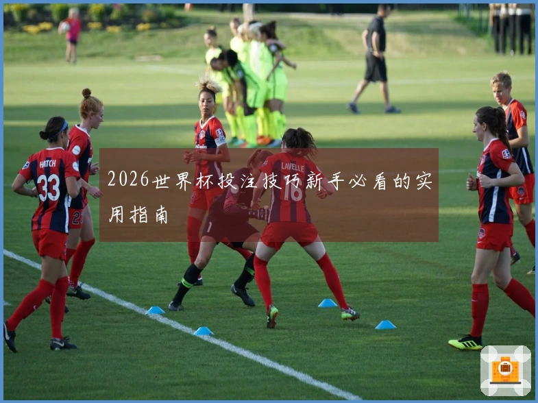2026世界杯投注技巧新手必看的实用指南