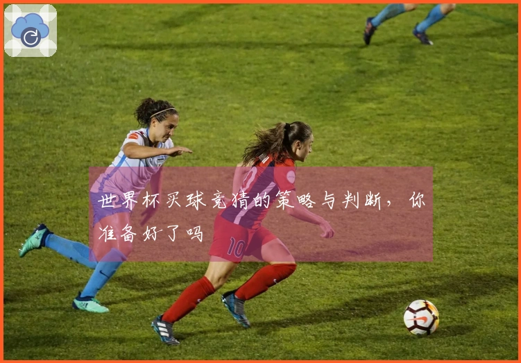 世界杯买球竞猜的策略与判断，你准备好了吗
