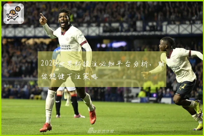 2026世界杯投注必知平台分析，助你稳健下注策略