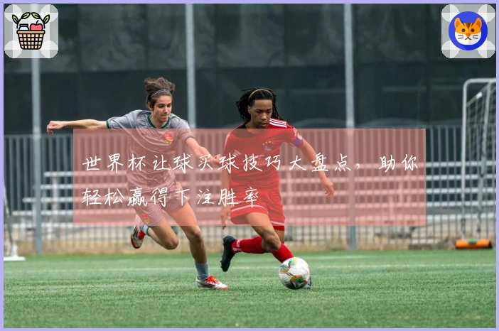 世界杯让球买球技巧大盘点，助你轻松赢得下注胜率