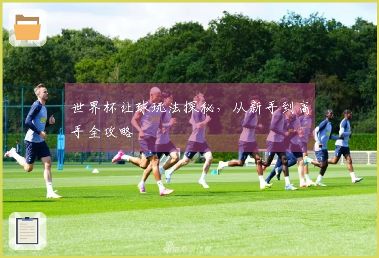 世界杯让球玩法探秘，从新手到高手全攻略
