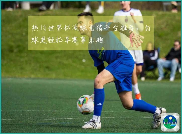 热门世界杯滚球竞猜平台推荐，打球更轻松享赛事乐趣