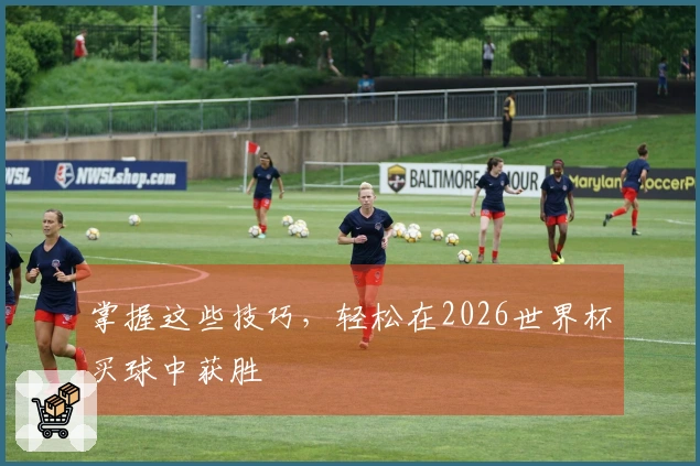 掌握这些技巧，轻松在2026世界杯买球中获胜