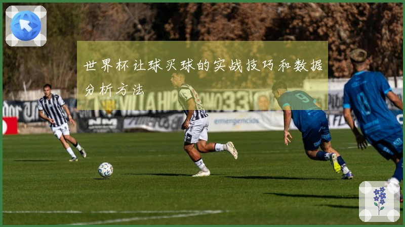 世界杯让球买球的实战技巧和数据分析方法