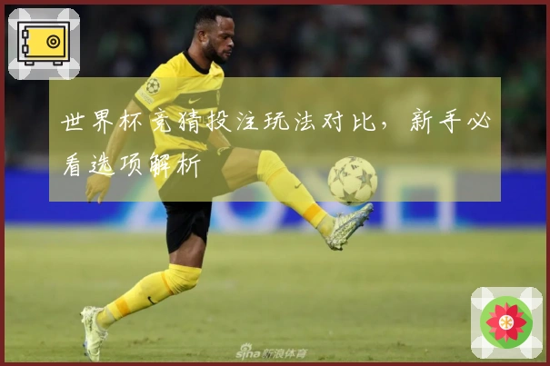 世界杯竞猜投注玩法对比，新手必看选项解析