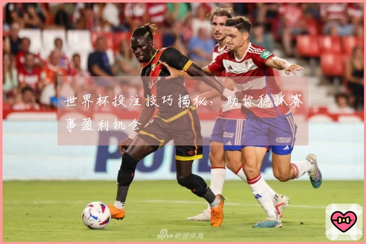 世界杯投注技巧揭秘，助你稳抓赛事盈利机会